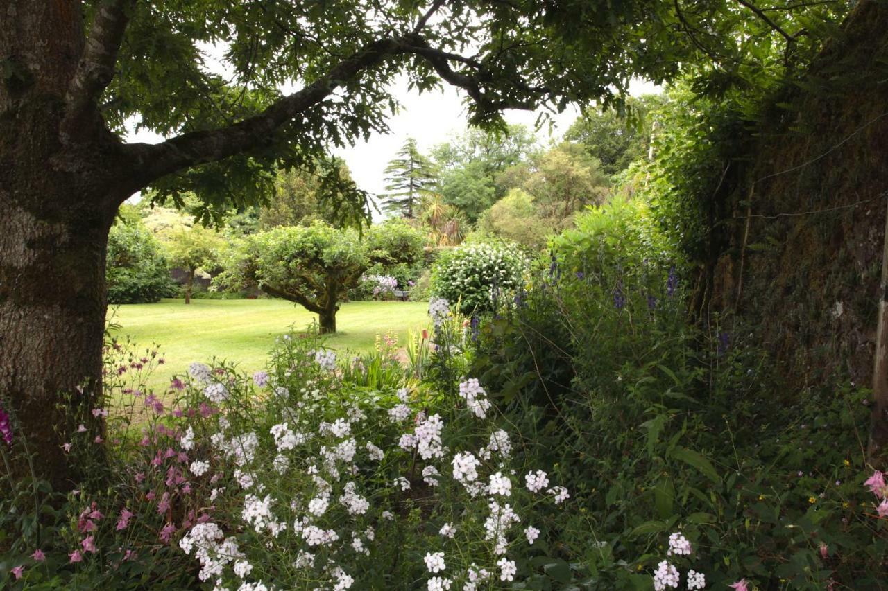 Bed & Breakfast Willowhill House 3*